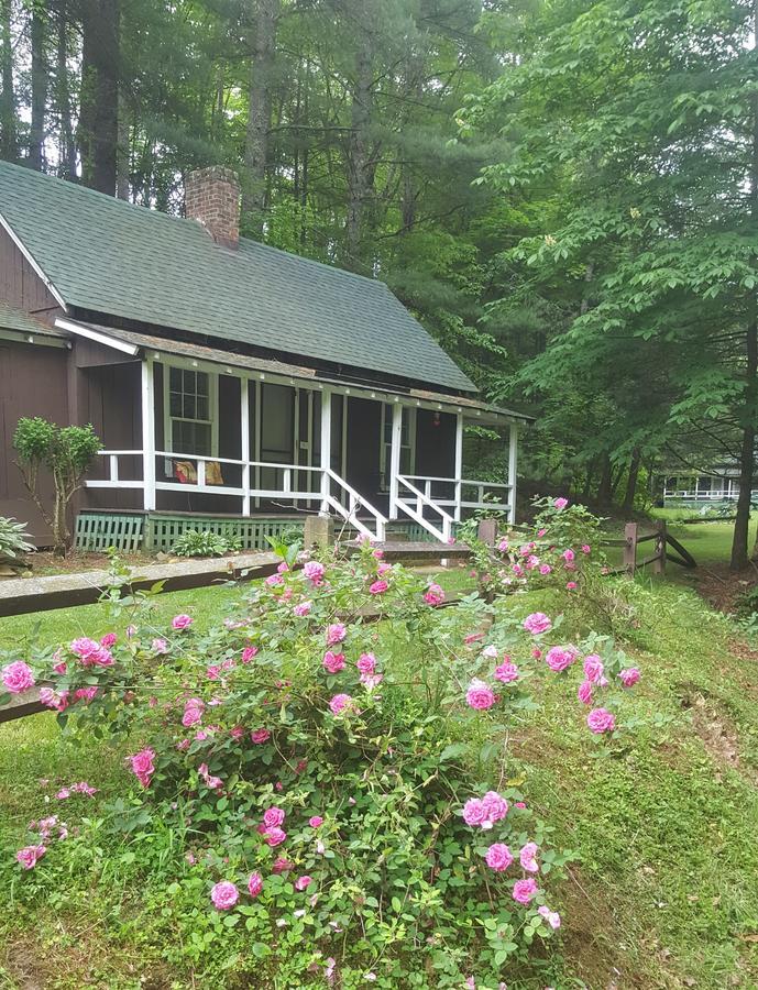 The Cabins At Healing Springs Crumpler Esterno foto